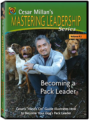 Cesar Millan Mastering Leadership DVD Becoming a Pack Leader