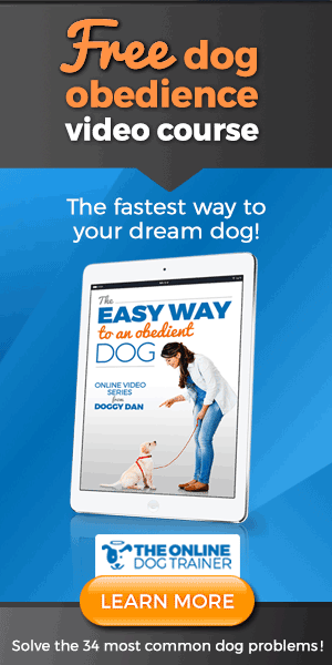 Dog training Doggy Dan Easy Way