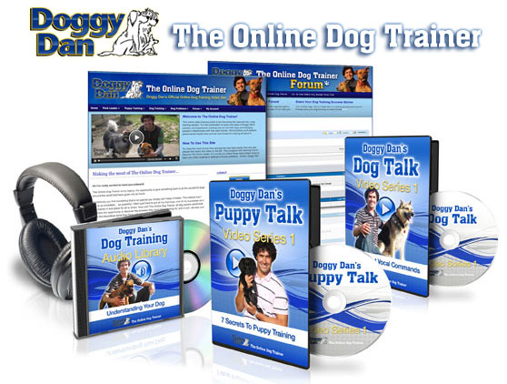 Doggy Dan's Online Dog Trainer program