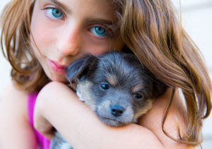 Dog breeds for children