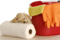 Housebreak a puppy