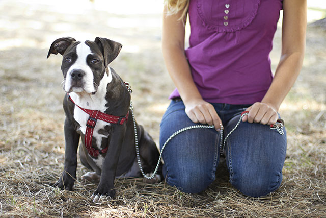 Leash training