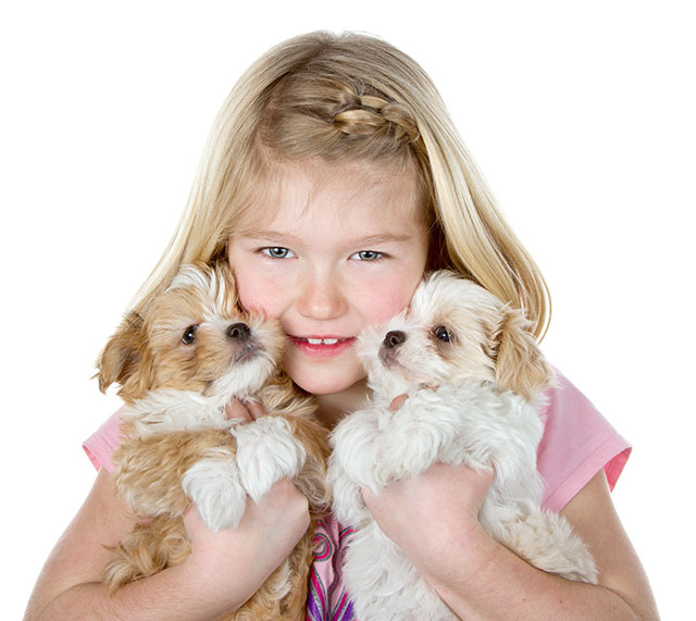 Socializing puppy with kids